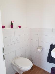 Appartement Wiesenblume Talstraße 30 79677 Schönau im Schwarzwald Bade-Wurtemberg