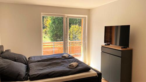 Wiesenquell Apartment Feldberg