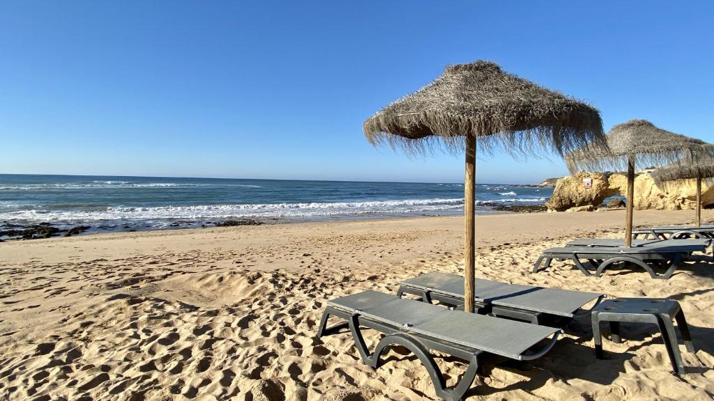 Wild CIP Praia da Oura, 2, 8200-001 Albufeira