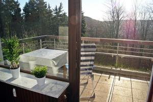 Winterberg Appartement 21118