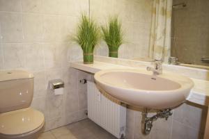 Winterberg Appartement 21118