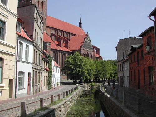 Wismaria Nähe Markt - ABC170