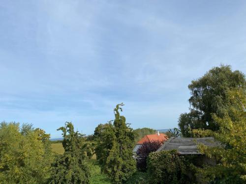 Wohlenberg-6