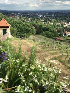 Appartement Wohlfühl-Apartment am Paradiesberg 21 Jägerhofstraße 01445 Radebeul Saxe