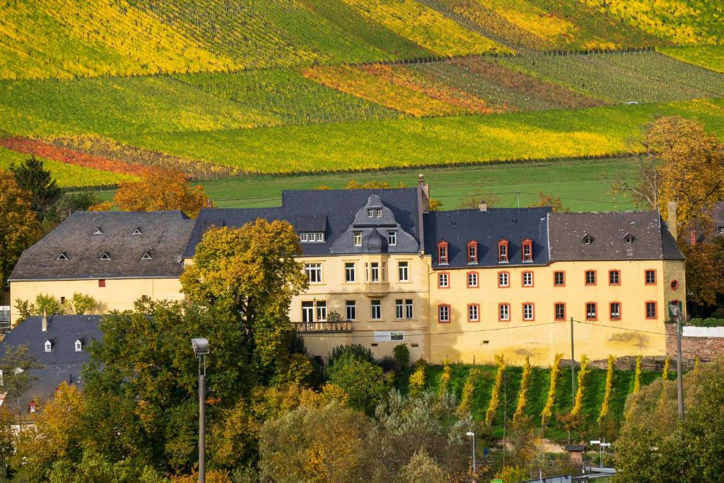 wohnen auf dem Weingut - klein und fein Siebenborn, 54484 Maring-Noviand