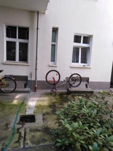 Wohnung 15