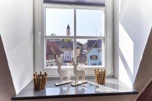 Wohnung 2 - nur 5 Fahrminuten vom Europapark