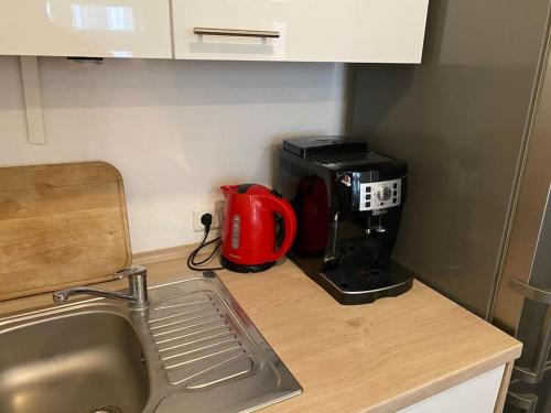 Wohnung (95 qm) am Park mit kleinem Garten