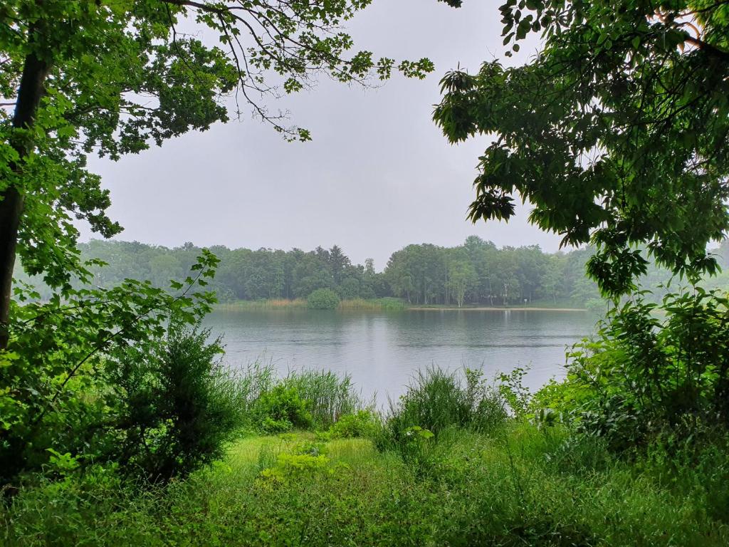 Wohnung am See Hauptstrasse 26 b, 26524 Berumbur
