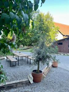 Wohnung ELVIS in der Ferienscheune Alte Ölmühle