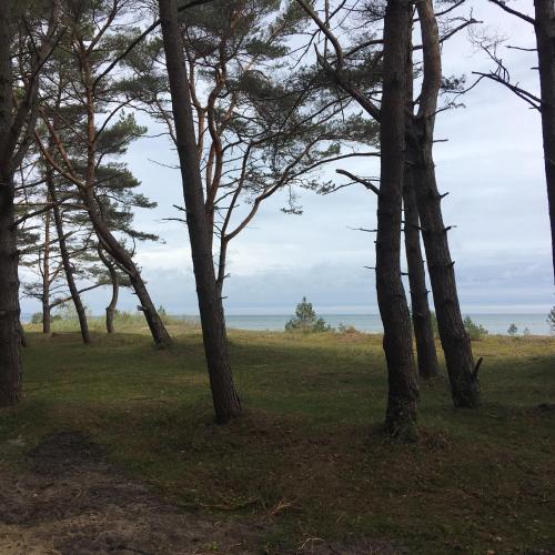 Wohnung in der Nähe zum Strand
