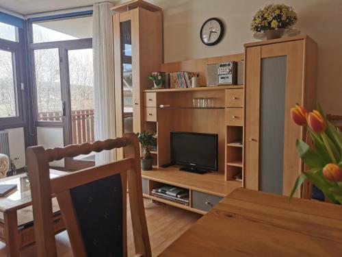 Wohnung Schluchseeglück mit Pool