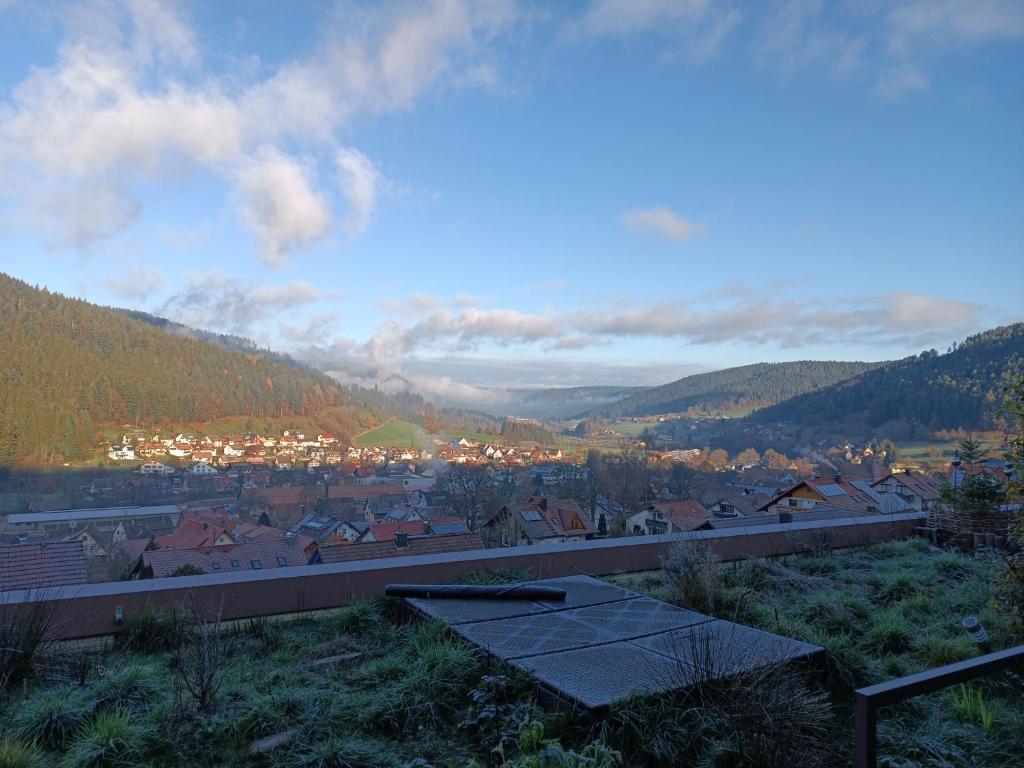 Wohnung Schwarzwaldblick 17 Rosshaldeweg, 72270 Baiersbronn