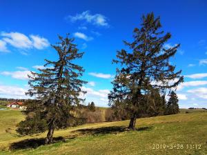 Wohnung Schwarzwaldblick