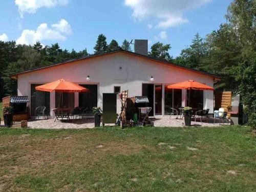 Wohnung Simon Grüne Idylle im Wald direkt am See