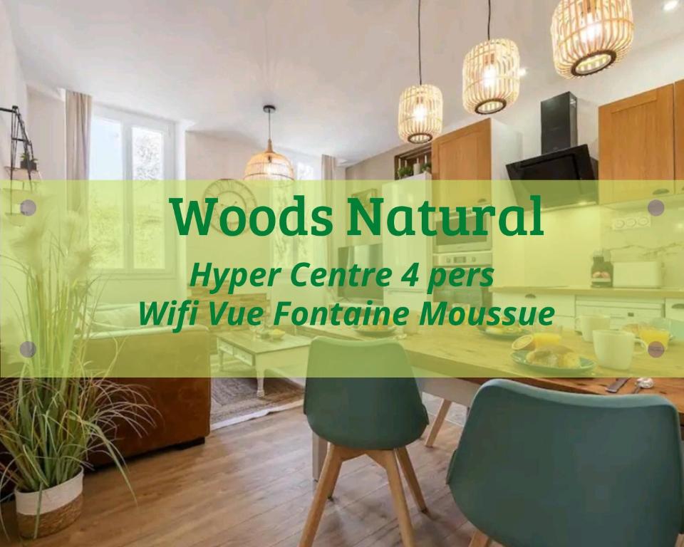 Appartement Woods Natural Hyper centre Fontaine Moussue 35 Rue Ponsard 13300 Salon-de-Provence
