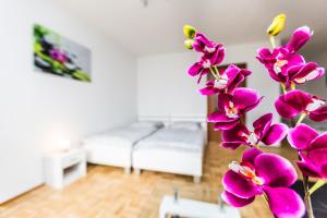 Appartement Work & Stay Apartment Monheim Holzweg 97 40789 Monheim Rhénanie du Nord - Westphalie