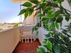 Appartement WOW OCEAN VIEW, 150mts to Beach & 10 min to Centre Rossio da Trindade Bloco D, Apart 90 8600-513 Lagos Algarve