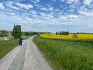 Wreecher Idyll