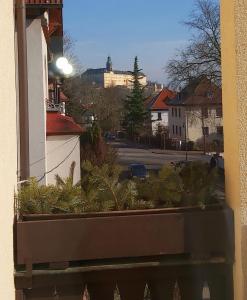 Wunderschöne Altbauwohnung
