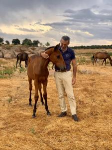 Appartement Zambujal Horses & Nature. House t1. Alentejo. Arronches. Herdade do Zambujal - estrada nacional 246 7340-059 Arronches Alentejo