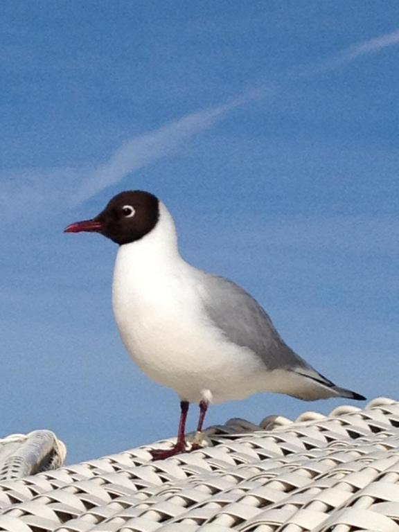 Zeit für Meer 5 Heidhöhn, 27476 Cuxhaven