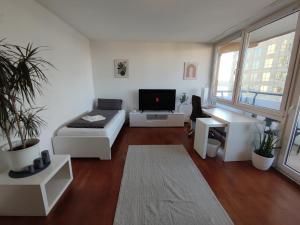 ZEN Penthouse - central - spacious - Skylineview