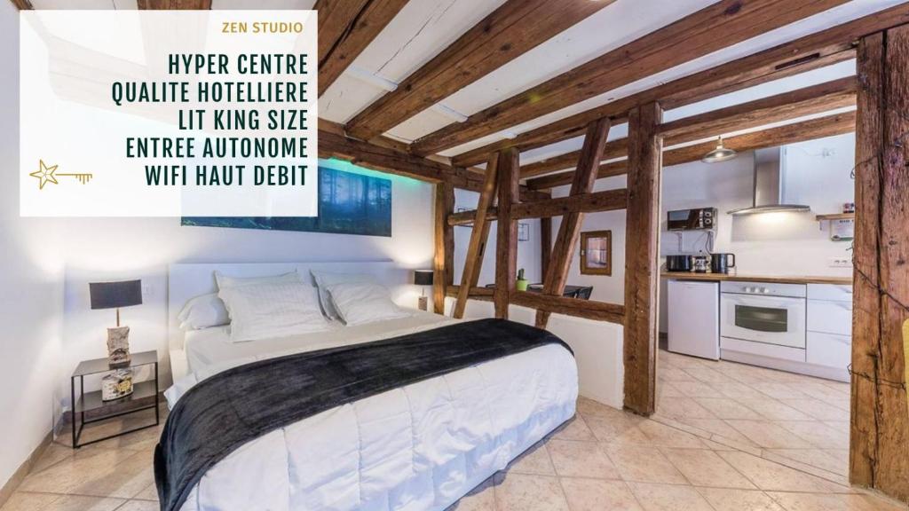 Appartement ZEN studio - maison alsacienne - lit KING SIZE 7 Rue du Chasseur 68000 Colmar