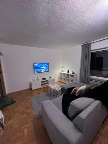 Zentral gelegenes Apartment - DSL, Küche, Balkon, Parkplatz