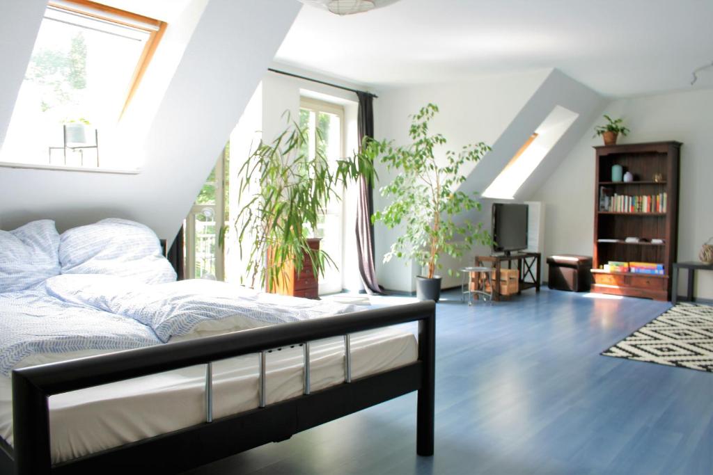 Zentrale Ferienwohnung Anker im Sonnenblumenhaus Süderfischerstraße 4a, 24937 Flensbourg