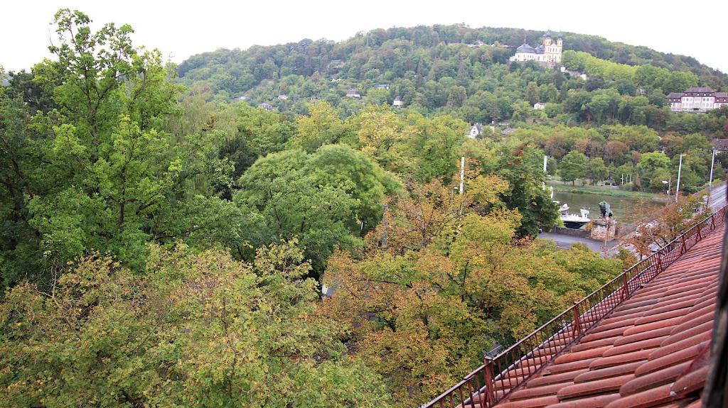 Zentrale Stadtwohnung - direkt am Main, Park-Ausblick 21 Sanderring, 97070 Wurtzbourg