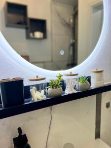 Zentrales Apartment der Extraklasse zum Wohlfühlen
