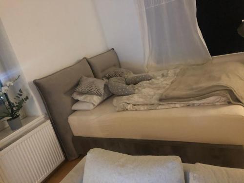 Zentrales Appartement