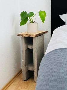 Zentrales großzügiges Apartment mit Dachterrasse!