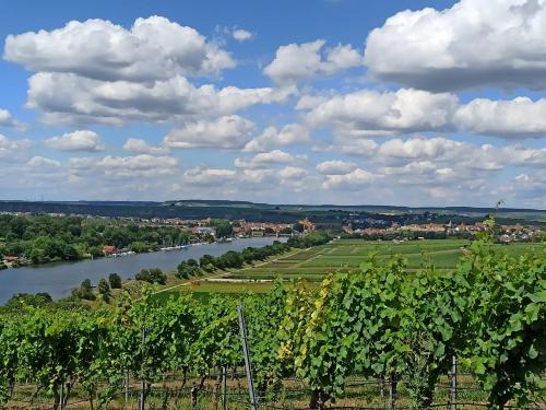 Zimmerchen in Lauffen am Neckar (Heilbronn)