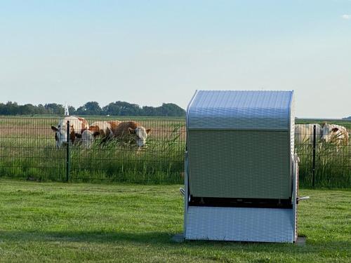 Zingst Haus Hugo