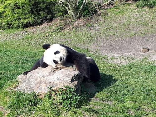 Zoo Zen 6 pers, au coeur de St Aignan