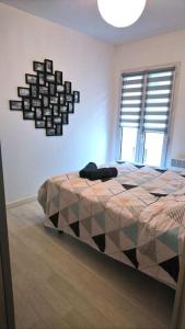 Appartement Zoo Zen 6 pers, au coeur de St Aignan Rue Championnerie 41110 Saint-Aignan Région Centre