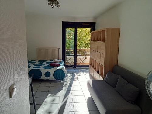 Zoulysse III Annecy