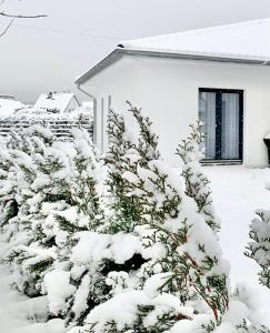 Zu den Sandsteinhöhlen