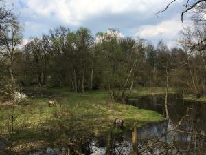 Zum Emsblick