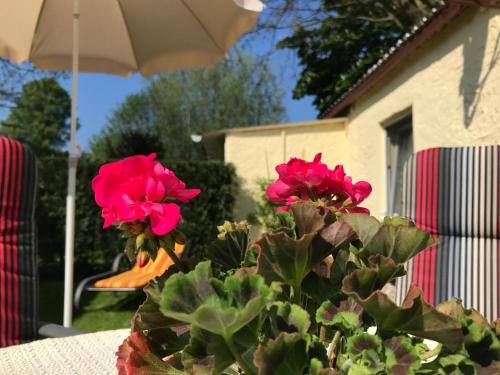 Zum Nordstrand