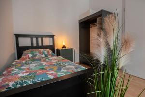 Zwickau mittendrin, tolles Balkon-Apartment