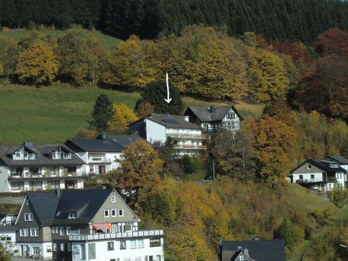 Appartements Appartementen Edel Am Herhagen 10 A en B Schmallenberg