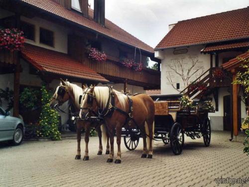 Appartementhaus \ Bad Füssing allemagne