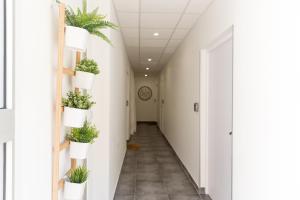 1Stays Apartments - Chabaud