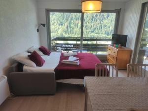 2 comfortable studios of 2-4 persons each in Chatel center