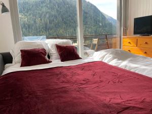 2 comfortable studios of 2-4 persons each in Chatel center