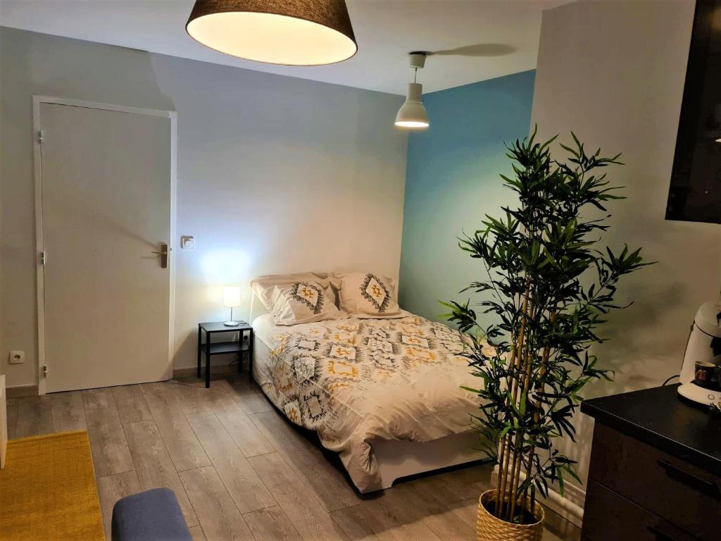 3 Studios Cœur de Hyères Médiéval