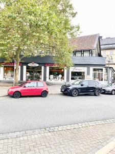 300qm & 180qm Ferienwohnungen Rosentor Goslar Zentrum